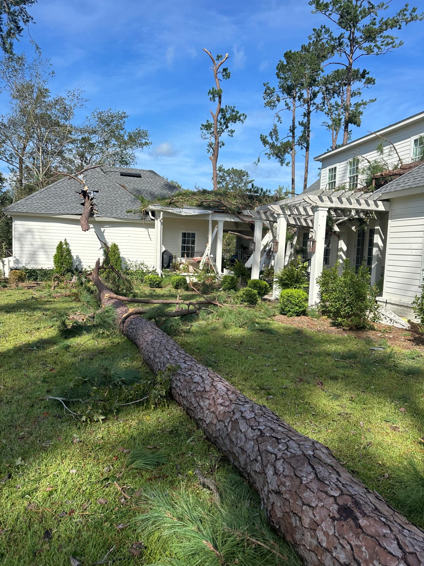 Storm-fallen pine tree crashed across a backyard pergola and house roof, awaiting emergency tree removal