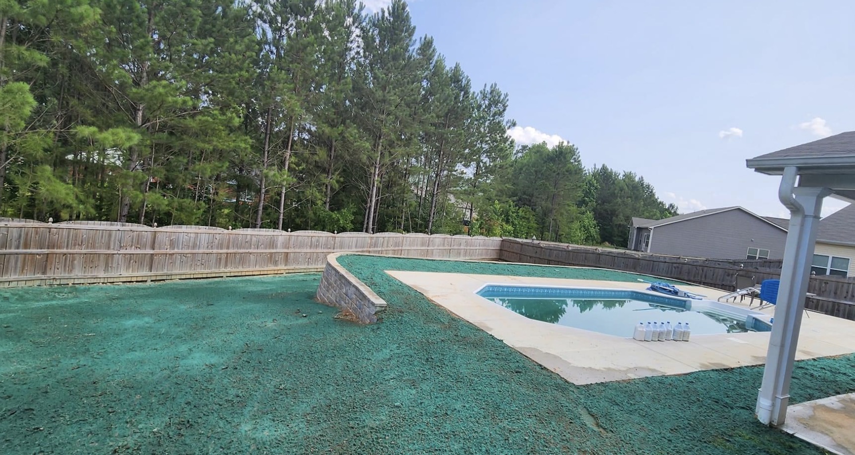 Backyard around an in-ground pool covered in fresh teal hydroseed mulch, with a wooden privacy fence and pine trees beyond