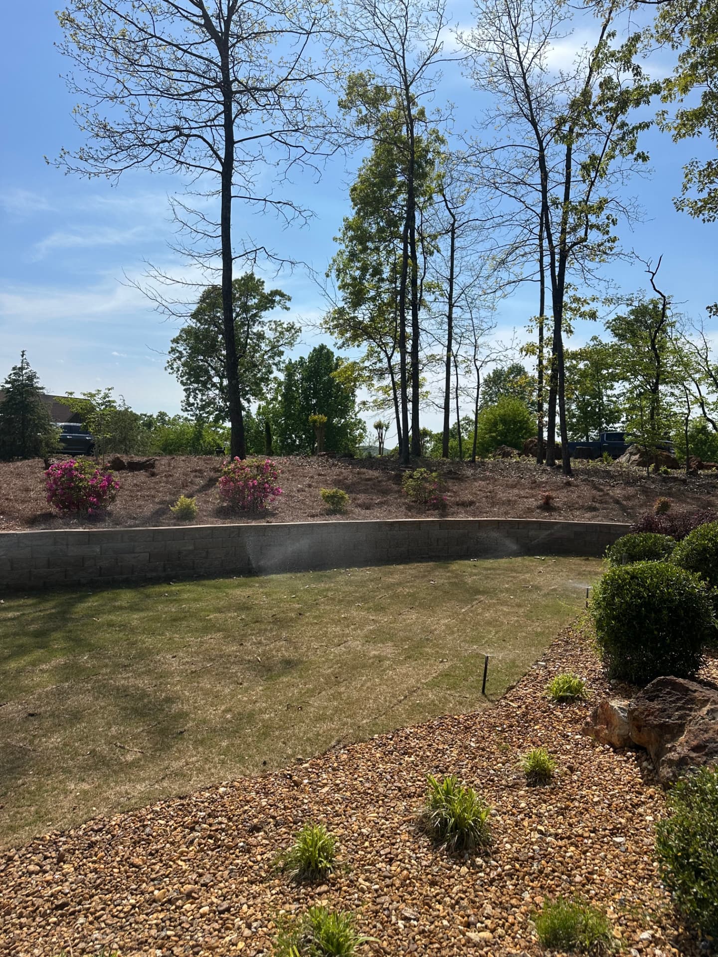Irrigation sprinklers watering a newly planted lawn beside a curved stone retaining wall and mulched slope
